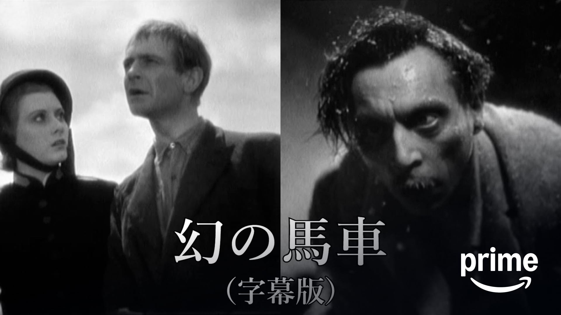 Amazon.co.jp: マイエルリンクからサラエヴォへ（字幕版）を観る